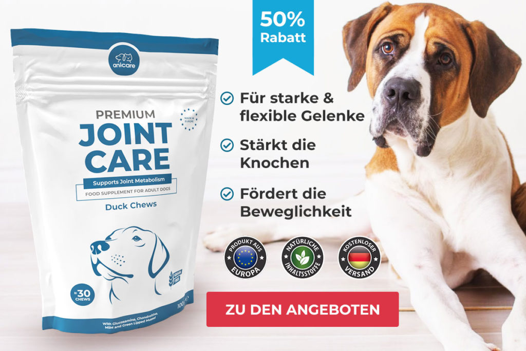 Premium Joint Care 6in1 Gelenkpräparat für Hunde!